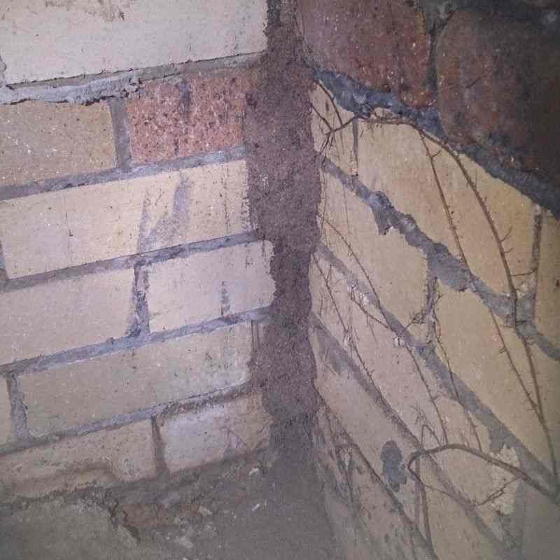 pestcall-termite-lead-subfloor-area-c