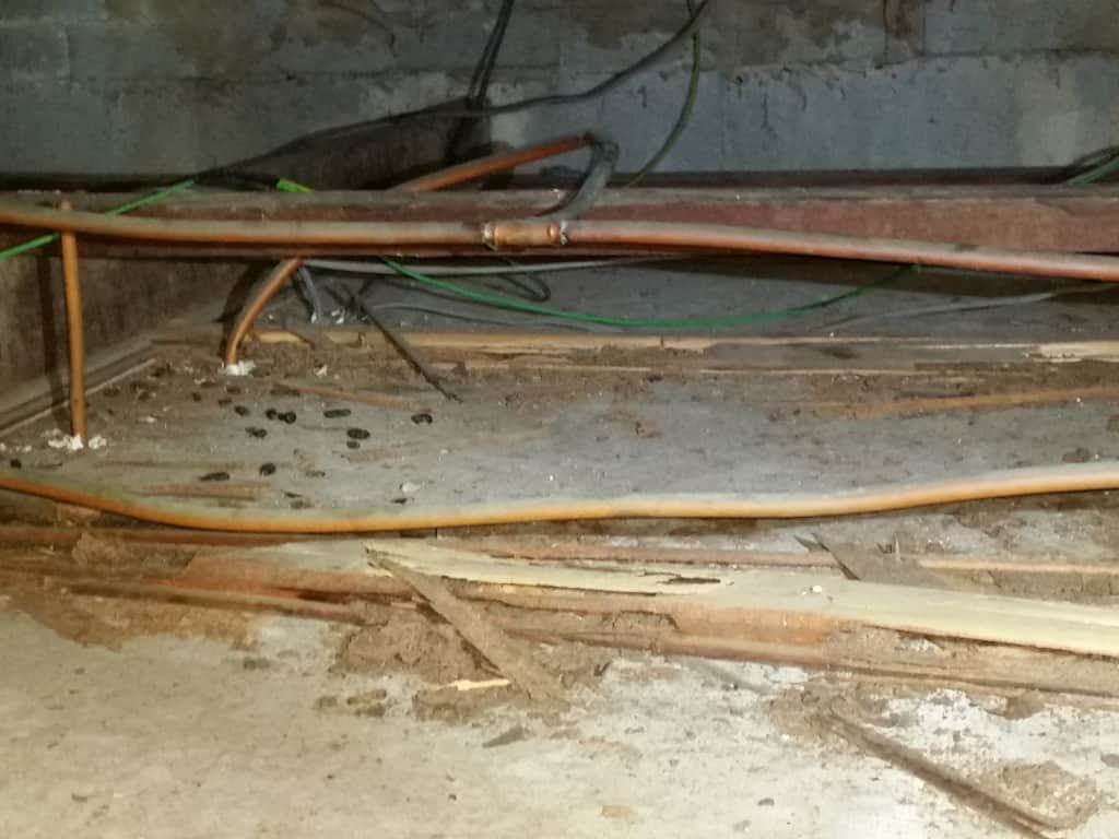 pestcall-brisbane-roofing-timbers-termite-damage-gc
